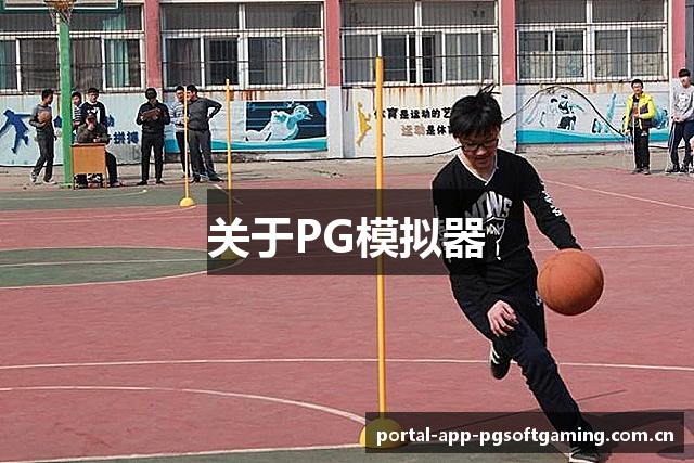 关于PG模拟器